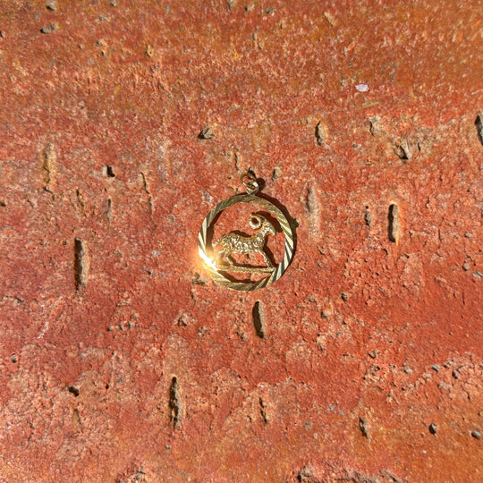 Detailed oval Aries pendant