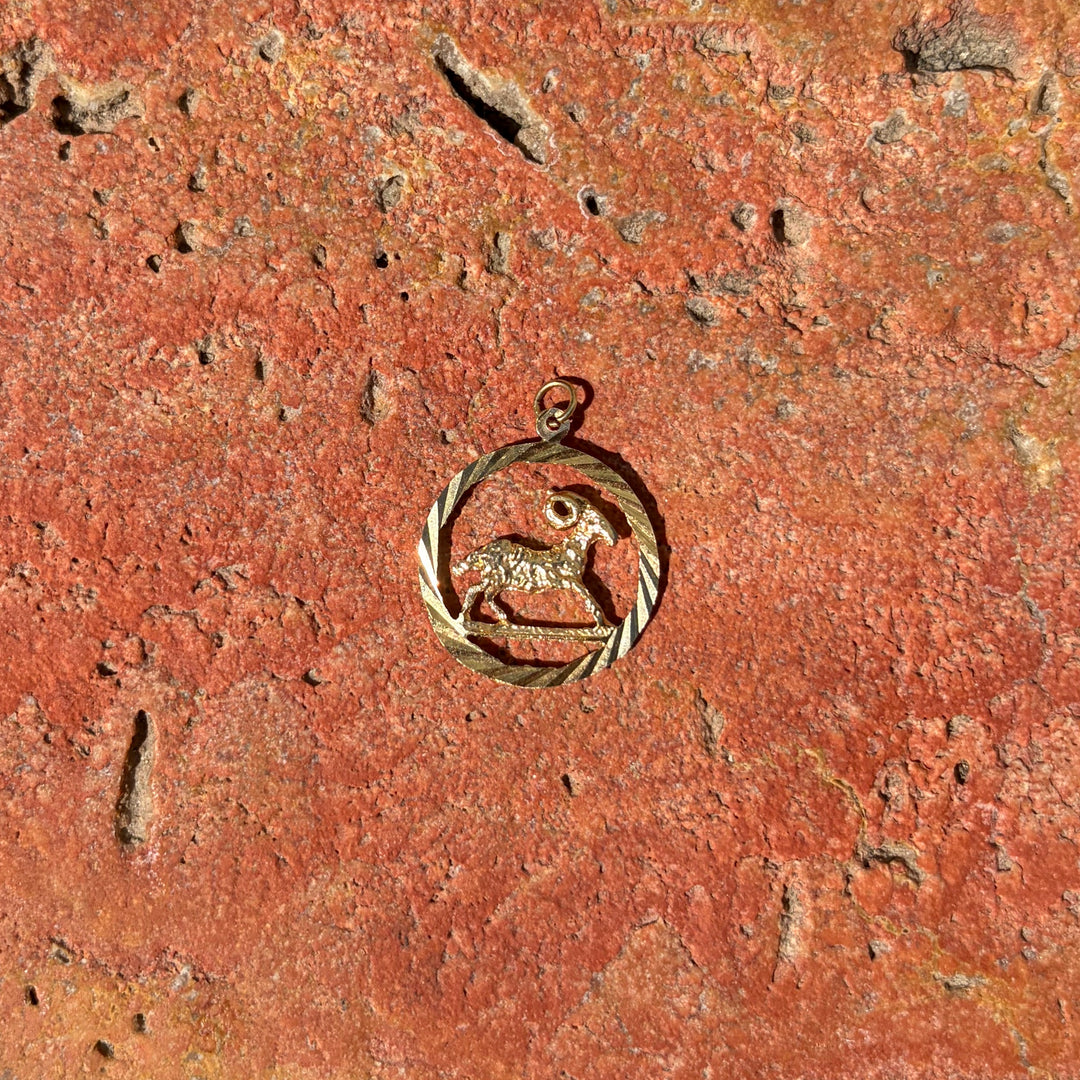 Detailed oval Aries pendant