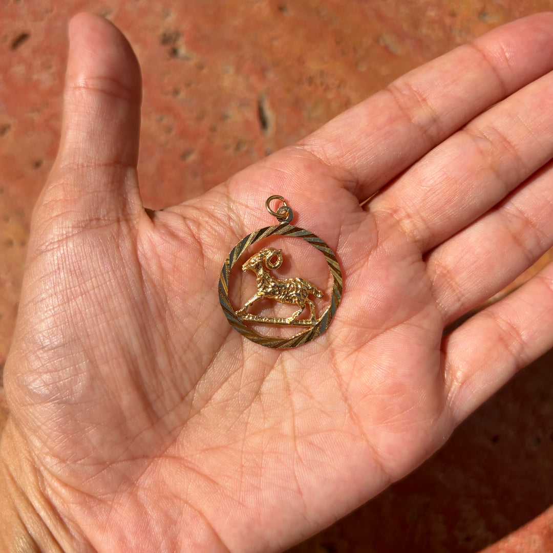 Detailed oval Aries pendant