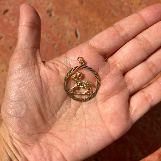 Detailed oval Aries pendant