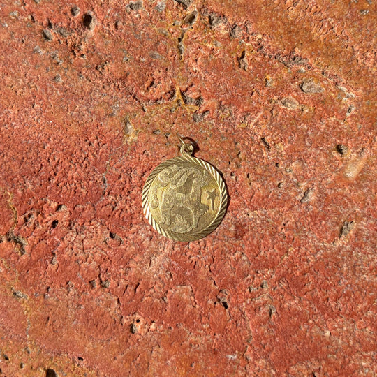 Large Capricorn medallion