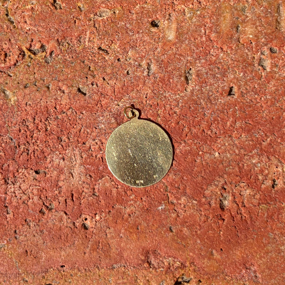 Large Capricorn medallion