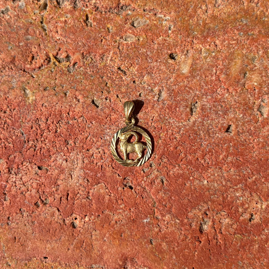 Oval Capricorn pendant