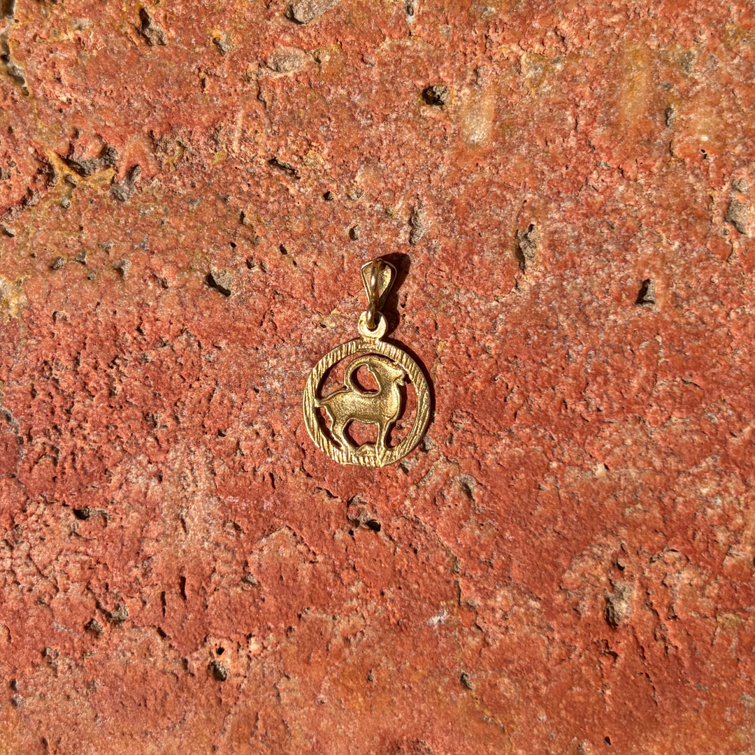 Oval Capricorn pendant