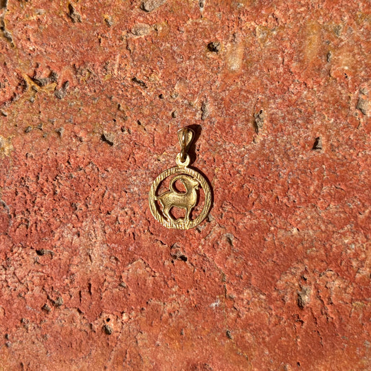 Oval Capricorn pendant