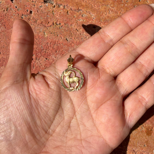 Oval Capricorn pendant