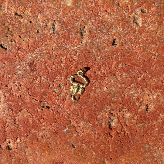 Detailed Scorpion charm