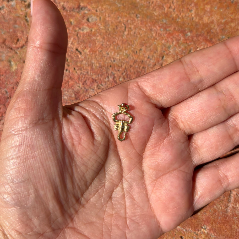 Detailed Scorpion charm