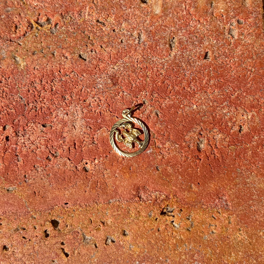 Oval Cancer pendant