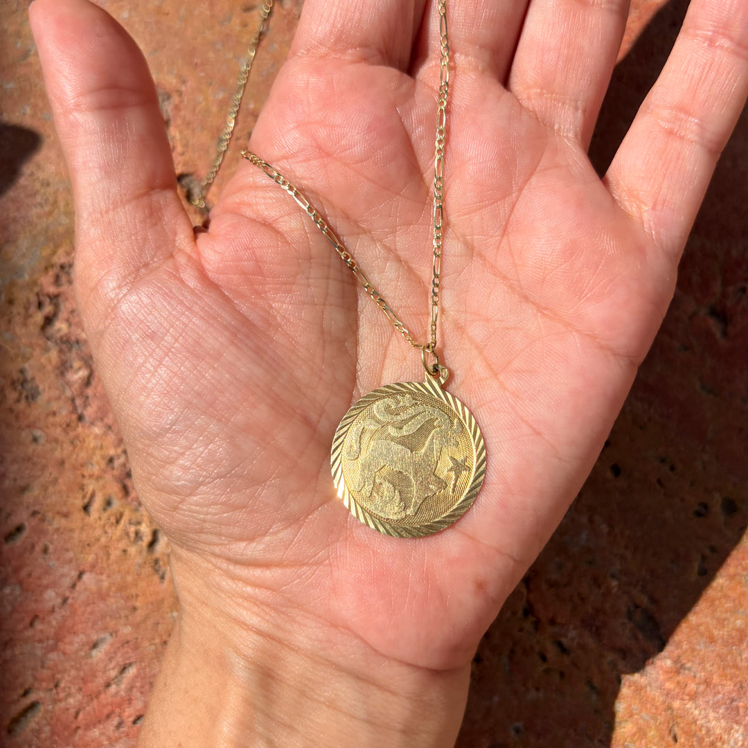 Large Capricorn medallion